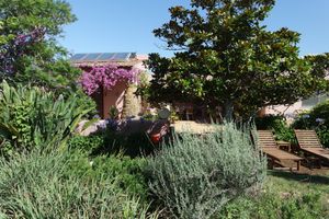 View from a side of the garden at Casa D'Ouro in Praia Da Luz