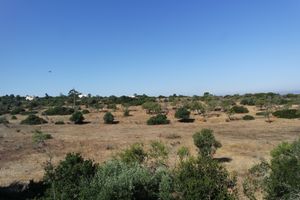 View from one of the terrace at Casa D'Ouro in Praia Da Luz