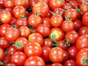 Tomatoes. at Frankie's in North Haven