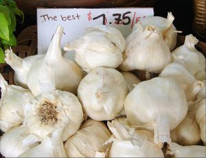 Garlic. at Frankie's in North Haven