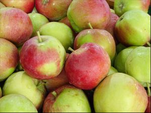 Apples. at Frankie's in North Haven