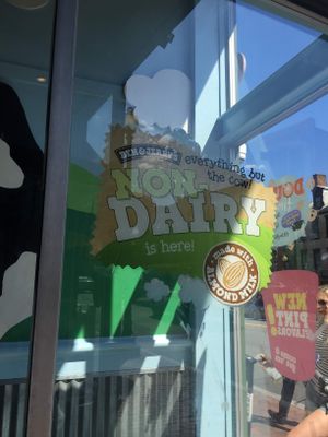 non-dairy  at Ben & Jerry's - 24 St Marks Place in New York City