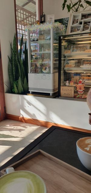 Vegan cabinet at The Dorm Bakery in Chiang Mai