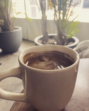Americano with oat milk   at Fair Grounds Organic Café & Roastery in Toronto