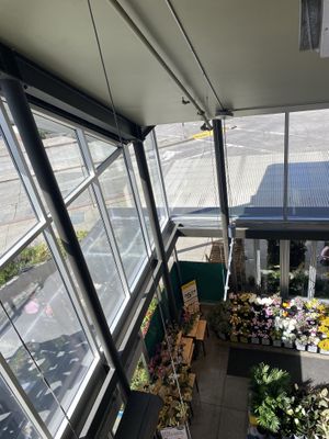 Beautiful Flower/Floral Section Near Side Entrance 🌸  at Whole Foods Market - Oakland in Oakland