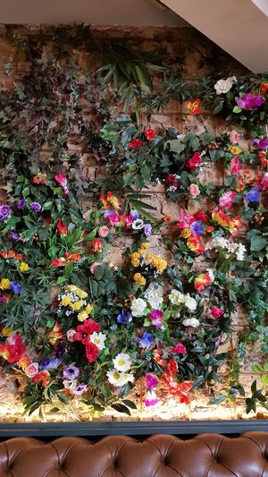 Flowery inside at The Belle Vue in South West London
