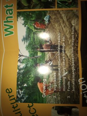 Growing own food at Cafe HOC in Battambang