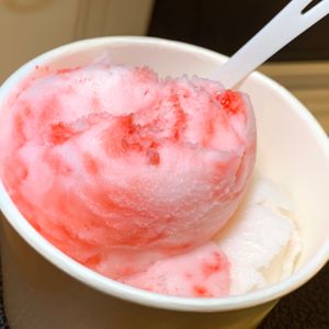 Vegan Peppermint Stick (Peppermint Sticks in Peppermint Ice Cream), Vegan Vanilla (Coconut Milk Ice Cream) at Furniture City Creamery in Grand Rapids