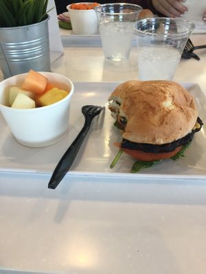 Vegan burger, so delicious! at ProteinHouse in Gilbert