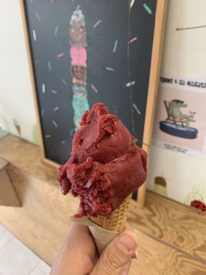 Blackberry-coconut icecream 😋  at Schelato in Vienna