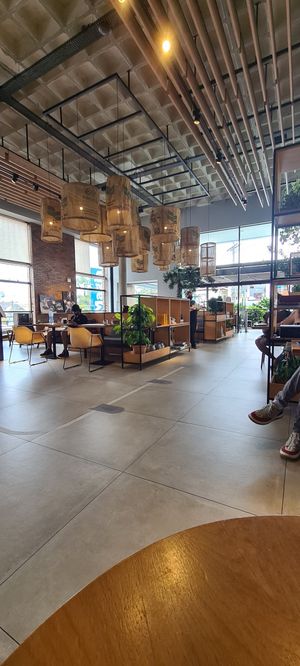 Place at Café Cultura - Rua Manoel Severino de Oliveira in Florianopolis