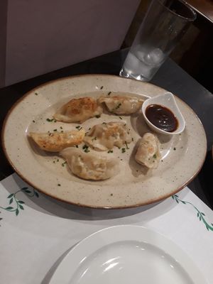 Gyozas at Vegania in Madrid