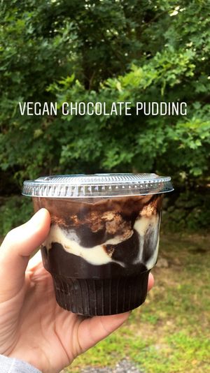 Vegan pudding at Airline Grill - Food Stall in Pomfret