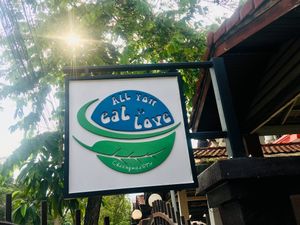 All you eat is love at All You Eat is Love in Chiang Mai