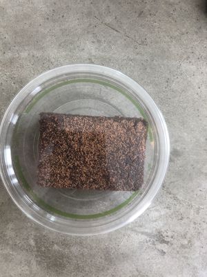 Brownie  at Choice Health Bar in Paia