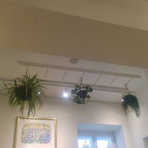 Inside at My Secret Garden Cafe in Vienna