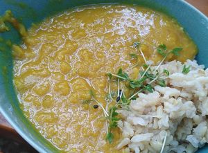 Rice & dhal at My Secret Garden Cafe in Vienna