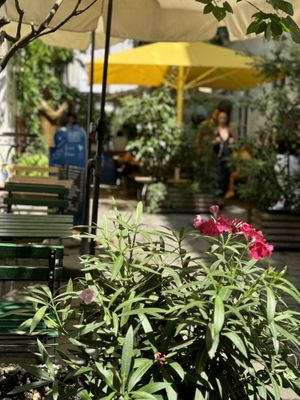 Garten  at My Secret Garden Cafe in Vienna