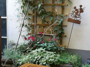 Outdoor seating decorations at My Secret Garden Cafe in Vienna