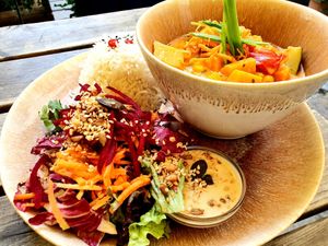 Curry of the day with rice and salad at My Secret Garden Cafe in Vienna