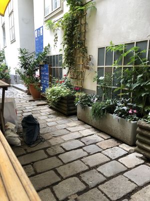 Garden at My Secret Garden Cafe in Vienna