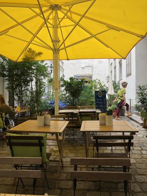 Garden at My Secret Garden Cafe in Vienna