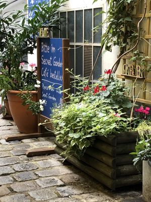 Garden at My Secret Garden Cafe in Vienna
