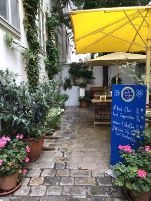 Garden at My Secret Garden Cafe in Vienna
