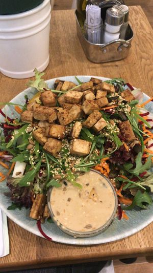 Salat mit Tofu at My Secret Garden Cafe in Vienna