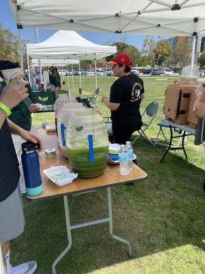 Borreguitas Offering Vegan Eats and Holding It Down  at Borreguitas in Pomona