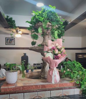  at Borreguitas in Pomona