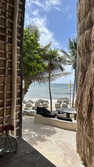 Chew with a view  at Papaya Playa Project in Playa Del Carmen