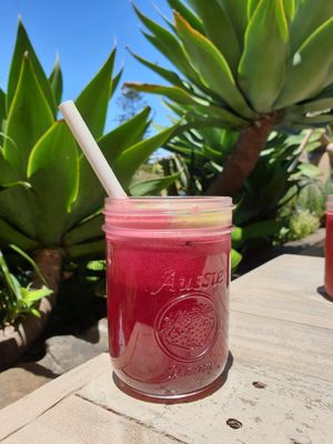  at Perfect Break Vegetarian Cafe in Gerringong