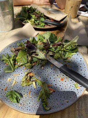 What a waste.  at Perfect Break Vegetarian Cafe in Gerringong