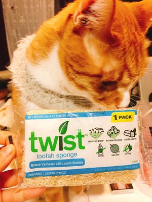 Vegan space is not only for food but also for environmental products!  at Vegan Space in Seoul