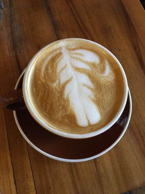 Maple dog cappuccino with soy milk  at Green Bean in Northampton