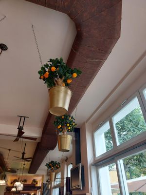 Orangen at The Orange in Fulda