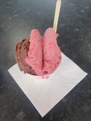  at Cariad Gelato in Porthmadog
