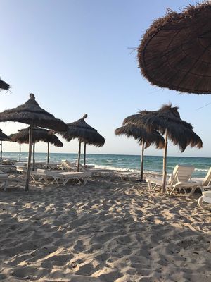 Private beach at the hotel, with waiter service. at Radisson Blu Udaipur Palace in Mezraya