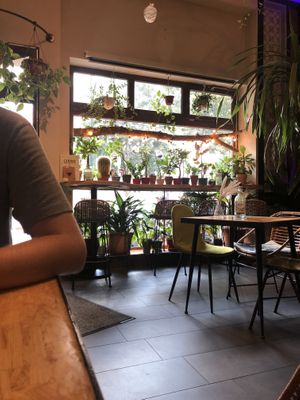 Inside at Botanica in Magdeburg