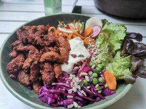 Sojaschnetzel Zachi Bowl at Botanica in Magdeburg