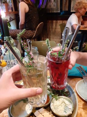 Drinks at Botanica in Magdeburg