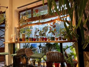 window 🍃 at Botanica in Magdeburg