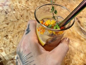 lemonade at Botanica in Magdeburg