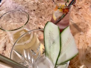 g&t at Botanica in Magdeburg