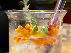 lemonade at Botanica in Magdeburg