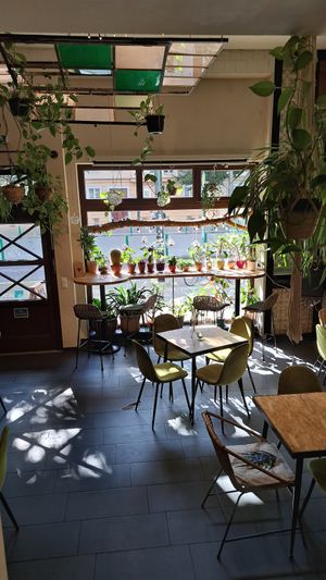  at Botanica in Magdeburg