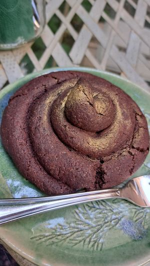 Cookie with cinnamon at Botanica in Magdeburg