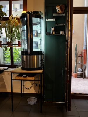   at Botanica in Magdeburg