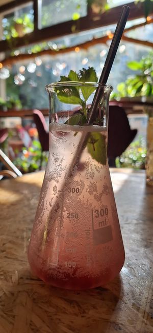  at Botanica in Magdeburg